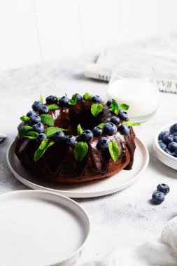 Taze yaban mersini ve nane şekerli lezzetli çikolatalı kek.