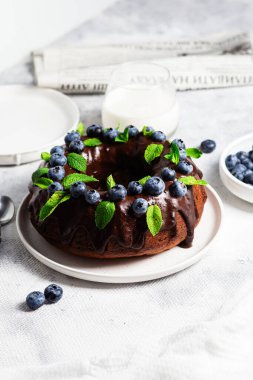 Taze yaban mersini ve nane şekerli lezzetli çikolatalı kek.
