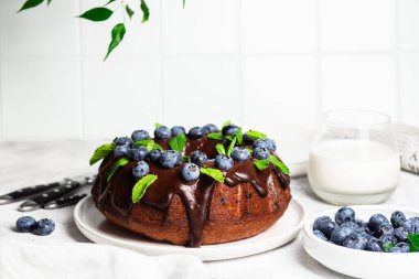 Taze yaban mersini ve nane şekerli lezzetli çikolatalı kek.