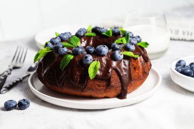 Taze yaban mersini ve nane şekerli lezzetli çikolatalı kek.