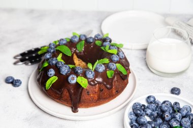 Taze yaban mersini ve nane şekerli lezzetli çikolatalı kek.