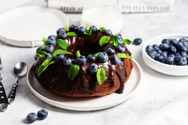 Taze yaban mersini ve nane şekerli lezzetli çikolatalı kek.