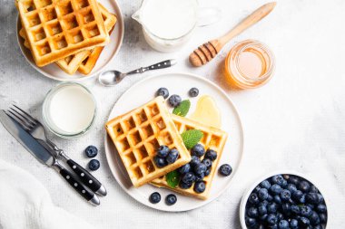 Yaban mersinli waffle, dondurma ve bir tabakta bal.