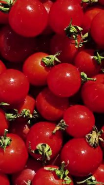 Çeri domatesleri su damlacıklarıyla birlikte hareket halinde.