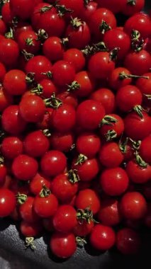 Çeri domatesleri su damlacıklarıyla birlikte hareket halinde.