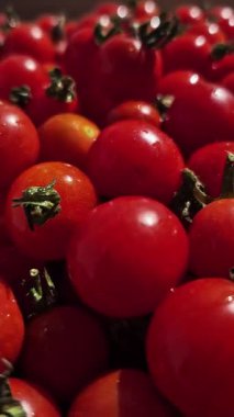 Çeri domatesleri su damlacıklarıyla birlikte hareket halinde.