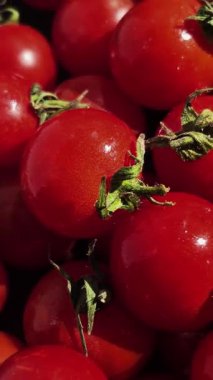 Çeri domatesleri su damlacıklarıyla birlikte hareket halinde.