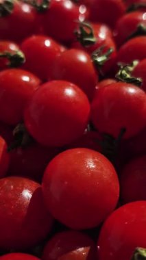 Çeri domatesleri su damlacıklarıyla birlikte hareket halinde.