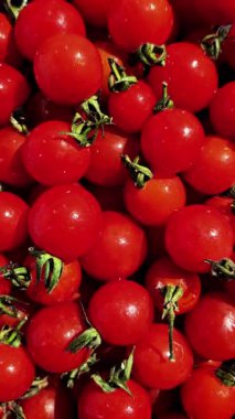 Çeri domatesleri su damlacıklarıyla birlikte hareket halinde.