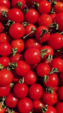 Çeri domatesleri su damlacıklarıyla birlikte hareket halinde.