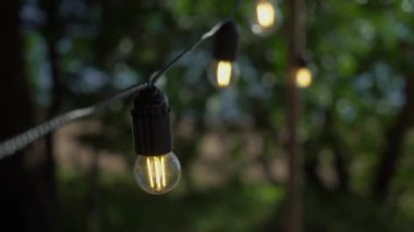 Beyaz ampullü ince bir çelenk. Tatil partisi için yaz tatili hazırlıkları. Düğün ya da doğum günü süsü.