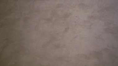 Rahat mavi terlik giyen bir çocuk, evdeki yumuşak bej bir halıda kaygısızca dolaşmaktan zevk alır. Rahat ve rahat bir ortamda, sakin aktiviteler için mükemmel bir ortam yaratır.