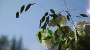 Bir buket beyaz gül kurdeleyle bağlanmış..