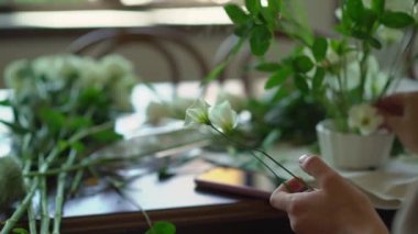 Beyaz gül çiçekleri. Buket kompozisyon, düğün töreni ya da diğer kutlamalar için dekorasyon. Dışarıda, yeşil çimlerin üzerinde. Köylü partisi.