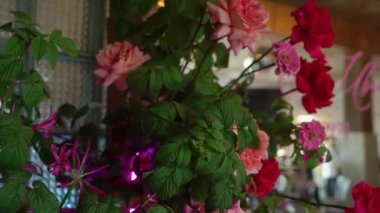 Çok güzel dekore edilmiş bir düğün resepsiyonu salonu. Masalı, sandalyeli, çiçekli bir oda. Lüks etkinlik.