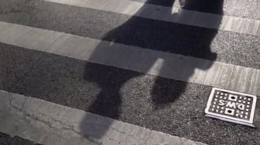 Güneşli bir yol boyunca el ele yürüyen iki siluetin güzel siluetleri huzur verici bir görüntü oluşturur.