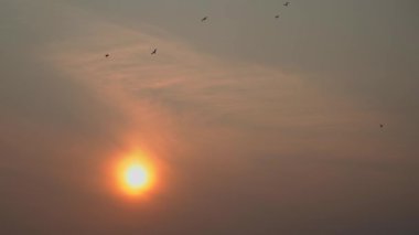 Nefes kesen bir günbatımı. Güzel, sakin bir gökyüzüne ılık renkler döküyor. Kuşlar zarif bir şekilde uçuyor.
