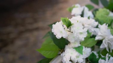 Sersemletici beyaz çiçeklerin yakınlaşması dingin bir su arkaplanının yanında tazelik ve sükuneti çağrıştırıyor.