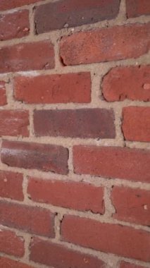 Kalıplaşmış tuğla bir duvarın yakın plan görüntüsü, çeşitli zengin renkler ve benzersiz desenler sergiliyor.