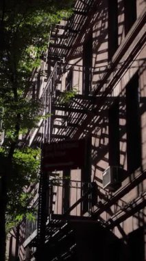 Bir yangın merdiveni tarafından çekilen gölgeler her yer yemyeşil, çarpıcı bir şehir manzarası yaratır.