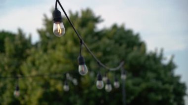 Büyüleyici sicim ışıkları akşam gökyüzünü güzelce aydınlatıyor, canlı ağaçların üzerinde büyülü bir atmosfer yaratıyor.