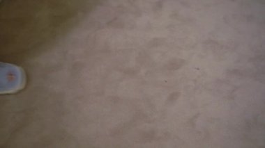 Rahat mavi terlik giyen bir çocuk, evdeki yumuşak bej bir halıda kaygısızca dolaşmaktan zevk alır. Rahat ve rahat bir ortamda, sakin aktiviteler için mükemmel bir ortam yaratır.