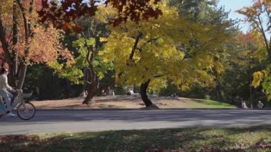 NEW YORK, ABD - 30 Ekim 2024: Renkli sonbahar yaprakları arasında neşeli bir şekilde birlikte yürüyen arkadaşların yer aldığı güzel ve huzurlu bir park sahnesi. New York 'taki Central Park.