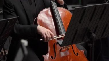 Yetenekli bir viyolonsel ustalıkla müzik tezgahları ve notalarla çevrili bir orkestrada güzel bir parça çalıyor.