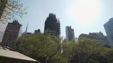 Çağdaş gökdelenlerin bulunduğu canlı ve canlı bir şehir. Etrafı yemyeşil, güneşli mavi gökyüzünün altında.