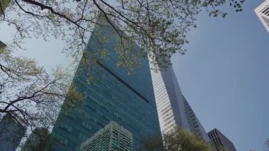 NEW YORK, ABD - 17 Nisan 2025: Canlı bir şehir ortamındaki yemyeşil ağaçlar tarafından zarif çerçevelenmiş modern gökdelenlerin çarpıcı ve güzel bir manzarası