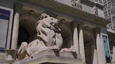NEW YORK, ABD - 2 Mayıs 2025: ikonik New York Halk Kütüphanesi mimarisinin büyük girişini şereflendiren çarpıcı bir aslan heykeli