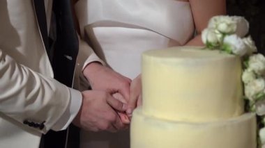 Çok güzel bir düğün anı. Yürekten bir tören sırasında çiftin yüzüklerini sevinçle değiş tokuş ederken görüntüsü.