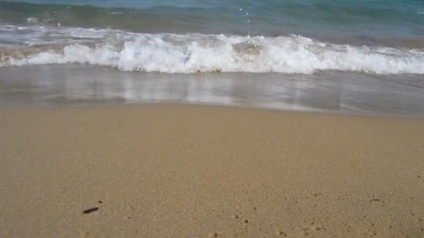 Onde Sulla Spiaggia Onde Oceaniche Sulla Spiaggia Sabbiosa — Video Stock