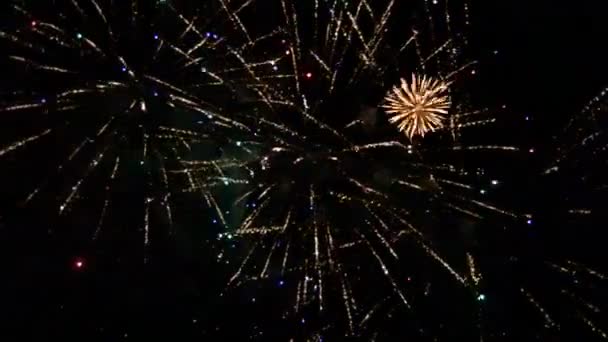 Fuochi Artificio Nel Cielo Notturno Scuro Colorata Festa Fuochi Artificio — Video Stock
