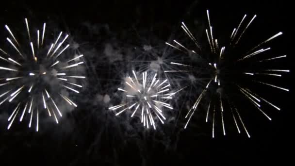 Fyrverkerier Den Mörka Natten Himlen Färgglada Fyrverkerier Firande Mörk Natthimmel — Stockvideo