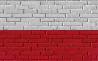 Polonya 'nın ulusal bayrağını çatlaklara ve somut kavramlara sahip eski tuğla desenli duvara boyayarak resmin gerçekçi arkaplan afişini üç boyutlu hale getirdi