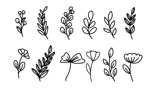Set Leaves Many Shapes Hand Drawn Lines Isolated White Background — Vettoriale Stock