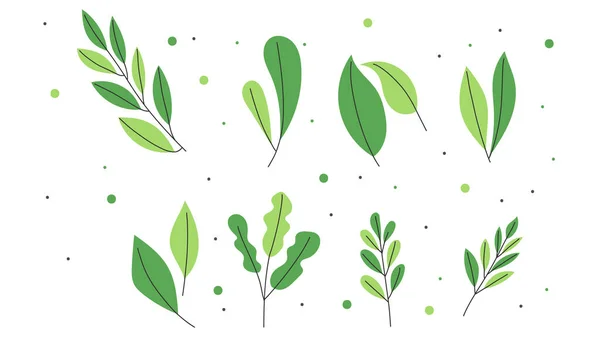 Набір Тропічні Листя Зелені Тропічні Джунглі Пальми Лісова Флора Плоский — стоковий вектор