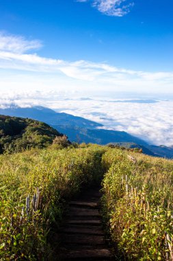 Sabahları güzel sisli deniz manzarası, büyük dağ sıraları ve güneş ışığı Kew Mae Pan Doğa Yolu, Doi Inthanon Ulusal Parkı Tayland