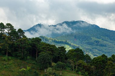 Yağmur mevsiminde Mon Chaem, Chiang Mai, Tayland 'da sabah sisi.