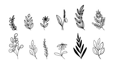 Drawing minimalist flowers  ,Hand drawn design elements , Flat Modern design isolated on white background ,Vector illustration EPS 10