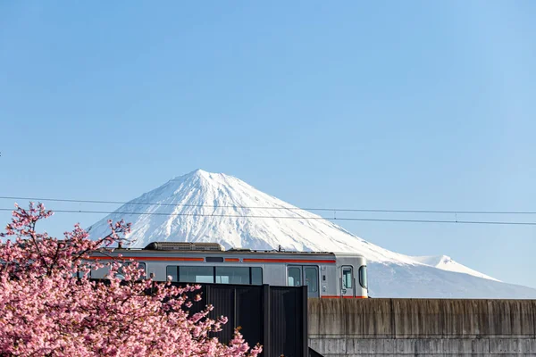 Cseresznyevirág Japánban Egy Felhős Háttér — Stock Fotó