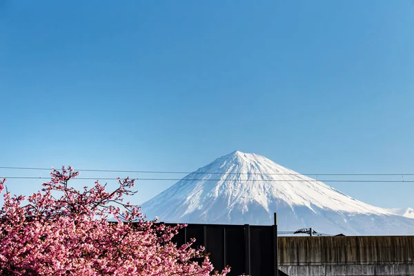 Hegyi Fuji Cseresznyevirág Gyönyörű Táj Japán — Stock Fotó