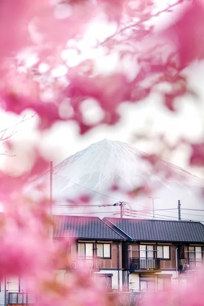 Fuji Sakura Kawaguchiko Templom Kertjében — Stock Fotó
