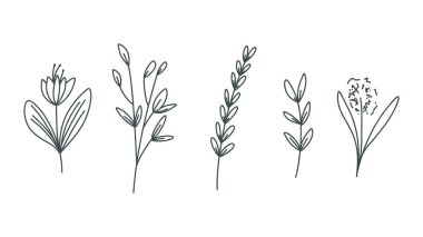 Line drawing minimalist flowers .isolated on white background ,Vector illustration EPS 10