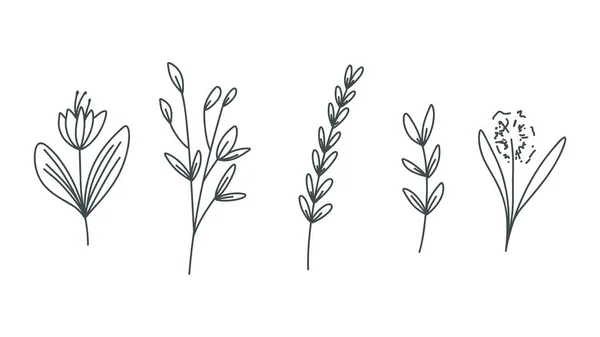 Line Drawing Minimalist Flowers Isolated White Background Vector Illustration Eps — Vetor de Stock