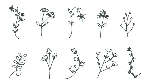 Linje Ritning Minimalistiska Blommor Isolerad Vit Bakgrund Vektor Illustration Eps — Stock vektor