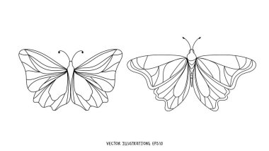 El çizimi kelebek şekli, el çizimi elementler, düz modern tasarım beyaz zemin üzerinde izole edilmiş, Vektör illüstrasyon EPS 10