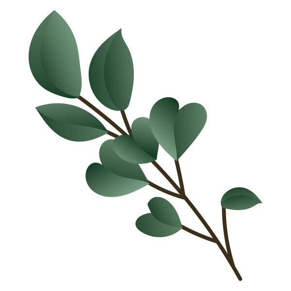 Set Tropical leaves , Jungle palms forest flora nature, Flat Modern design ,isolated on white background  illustration Vector