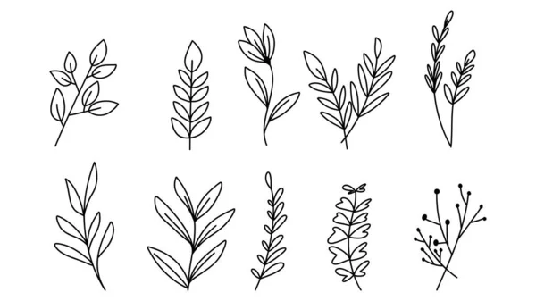 Лінія Малювання Мінімалістичних Квітів Елементи Намальовані Вручну Плоский Сучасний Дизайн — стоковий вектор